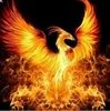 jorge_olvera